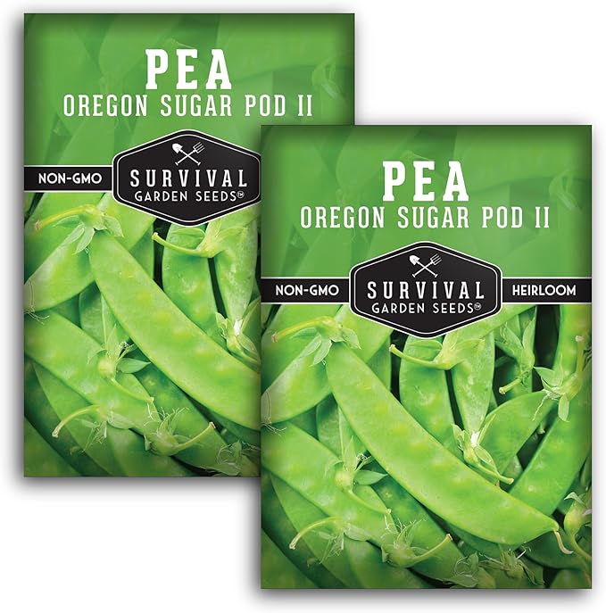 Oregon Sugar Pod II Snow Pea Seeds for Planting - Crisp Edible Pods, High Yield Sugar Snap Style Snow Peas, Heirloom Open Pollinated Non-GMO - Survival Garden Seeds (2 Pack)