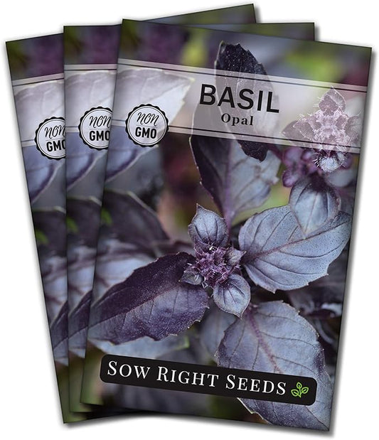 Sow Right Seeds - Opal Basil Seeds for Planting - Non-GMO Heirloom Packet with Instructions to Plant Indoors or Outdoor - Great for Hydroponics or Growing a Kitchen Herb Garden - Purple Leaves (3)