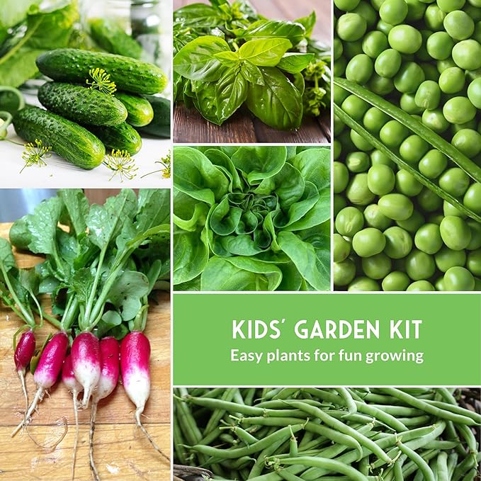 Survival Garden Seeds Kids' Easy Garden Collection - Cucumber, Radish, Beans, Peas, Lettuce, Basil Non-GMO Open Pollinated Seeds for Growing on the Homestead or in the Vegetable Garden