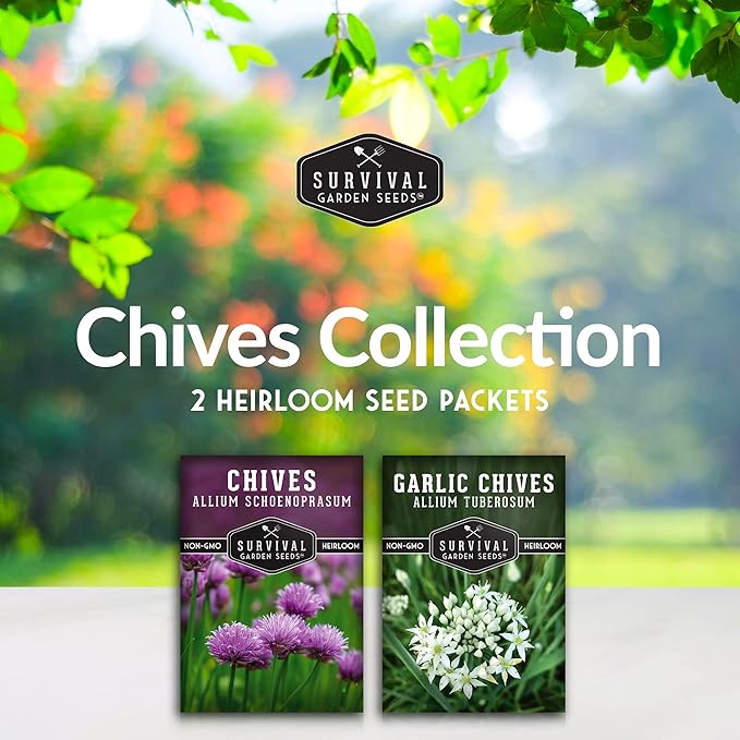 Chive Seed Collection - Common & Garlic Chives – 2 Packets of Non-GMO Heirloom Open-Pollinated Herb Seed Varieties to Plant in Your Vegetable Garden – Seed Saver Instructions - Survival Garden Seeds