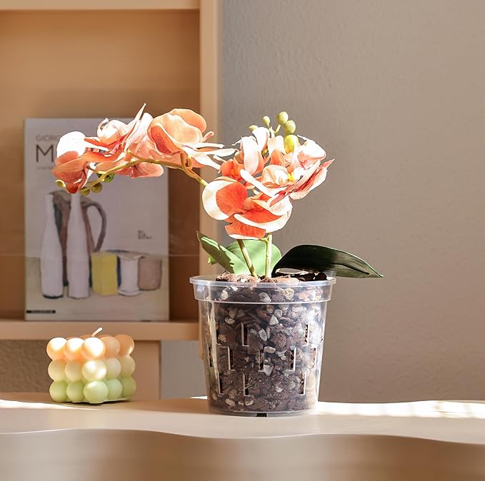 TRUEDAYS Orchid Pot with Saucers – 6 Pack 6 Inch Clear Orchid Pots with Drainage Holes for Repotting – Ideal for Healthy Root Growth – Sturdy Plastic Plant Pot for Indoor & Outdoor Plants