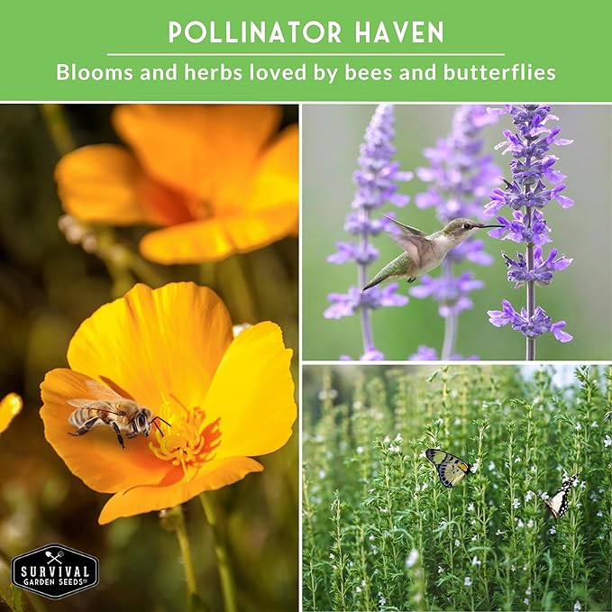 Drought-Tolerant Flower & Herb Seed Collection - 8 Packets of Seeds to Grow Drought-Resistant Plants for Growing in Xeriscape Gardens - Non-GMO Heirloom Open-Pollinated - Survival Garden Seeds
