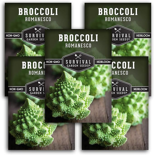 Romanesco Broccoli Seeds for Planting - Exotic Italian Heirloom Vegetable with Unique Spiral Heads - High Yield, Cool Weather Crop - Non-GMO, Open-Pollinated - Survival Garden Seeds (5 Packs)