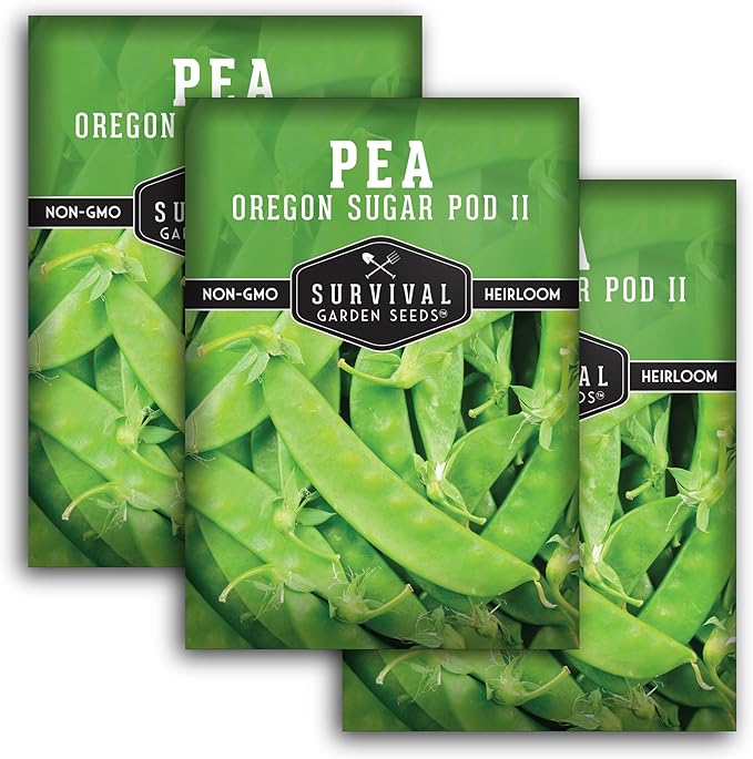 Oregon Sugar Pod II Snow Pea Seeds for Planting - Crisp Edible Pods, High Yield Sugar Snap Style Snow Peas, Heirloom Open Pollinated Non-GMO - Survival Garden Seeds (3 Pack)