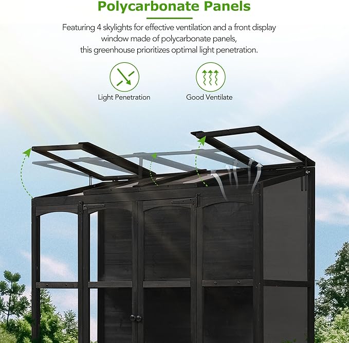 Walk-in Greenhouse for Outdoor 78 Inch Wooden Green House Cold Frame with 2 Doors 4 Openable Independent Skylights 2 Folding Middle Shelves Heavy Duty Plant Gardening Green House for Backyard, Black