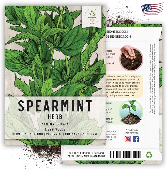 Seed Needs Spearmint Seeds for Planting Mint Herbs - Non-GMO Heirloom & Untreated Perennial Herb Seed to Plant a Home Grown Herb Garden Indoors or Outdoors (1 Pack)