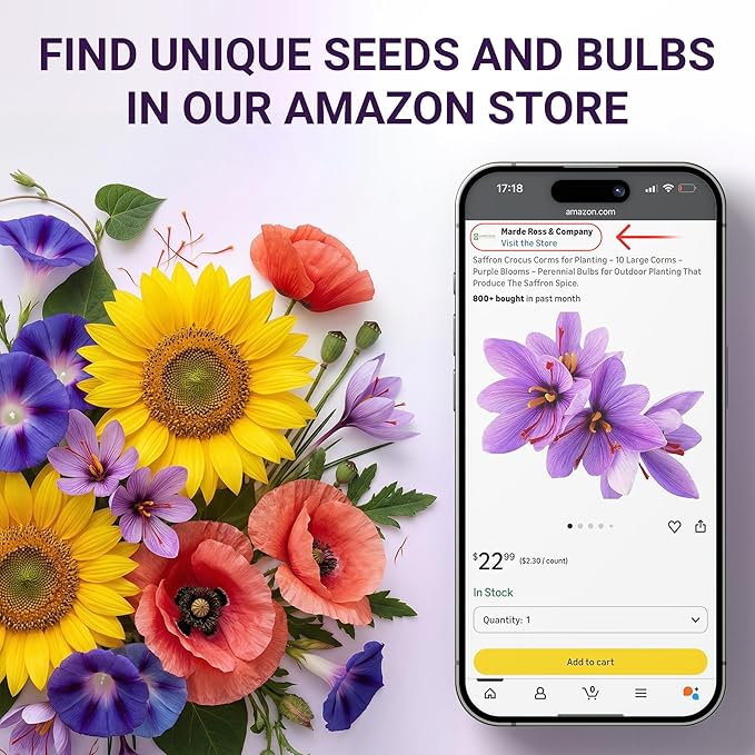 Mixed Zinnia Seeds for Planting Outdoors - 300 Fresh Seeds - Cut-and-Come-Again Zinnia Flowers - Grown in The USA
