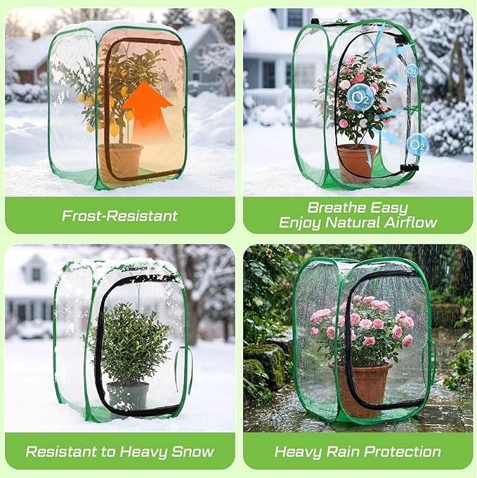 2 Pack Pop up Plant Enclosure Cover Foldable Clear PVC Mini Greenhouse for Freeze Protection with Zipper Door 24 x 24 x 36 Inch Garden Plant Cover Protect Fruit Vegetable Fruit from Bird Pest