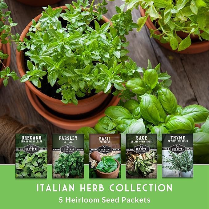 Survival Garden Seeds - Italian Herb Collection Seed Vault - Basil, Oregano, Thyme, Sage, Flat Leaf Parsley - Non-GMO Heirloom Varieties of Culinary & Medicinal Herbs for Any Garden or Homestead