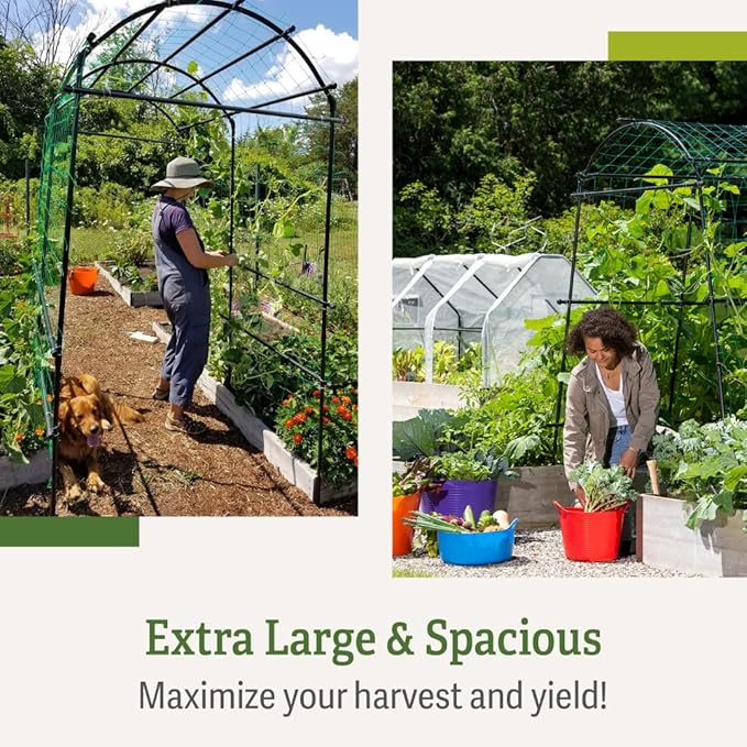 Gardener’s Supply Company Extra Tall Garden Arch Arbor | 80 Inch Tall Titan Squash Tunnel | Lightweight Metal, Trellis Plant Stand for Climbing Vines | Outdoor Lawn Tower & Support Structure