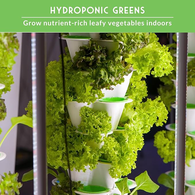 Hydroponics Vegetable Seed Collection for Planting - Watercress, Spinach, Siberian Kale, Swiss Chard, Buttercrunch, Oakleaf Lettuce Varieties to Grow Indoors Non-GMO Heirloom Survival Garden Seeds
