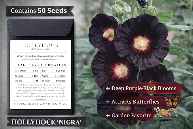Gothic Garden Seed Collection, 6 Open-Pollinated Flower & Foliage Varieties
