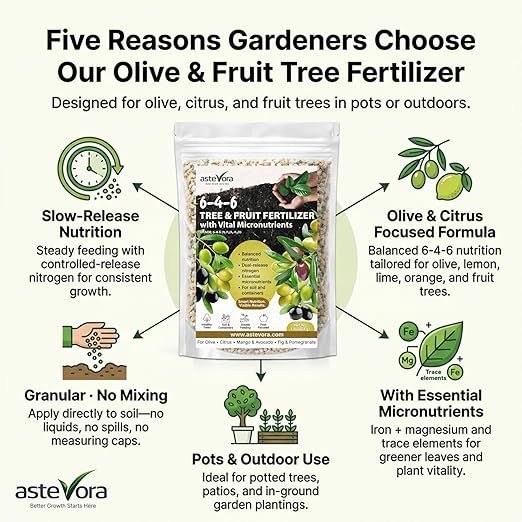 Olive Tree Fertilizer – Fruit Tree Fertilizer for Olive Tree, Citrus, Lemon, Lime, Fig, Avocado, Mango, Apple & Pomegranate – for Potted & Outdoor Trees (3 quarts - 6 lbs.)