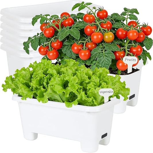 Oliz Self-Watering Rectangle Planter Boxes 8-Pack, 15.7-Inch Window Box Planter with Drainage Holes & Trays, Pots for Vegetables, Herbs, Flowers, Garden Windowsill Balcony (White)