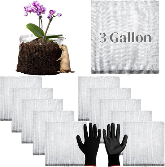 Noamus 10 Pcs Plant Root Guard Baskets, 3 Gallon Gopher Vole Proof Wire Cage, Stainless Steel Plant Wire Speed Baskets, Mesh Animal Cages Plant Baskets for Garden Berries Vegetables Protection