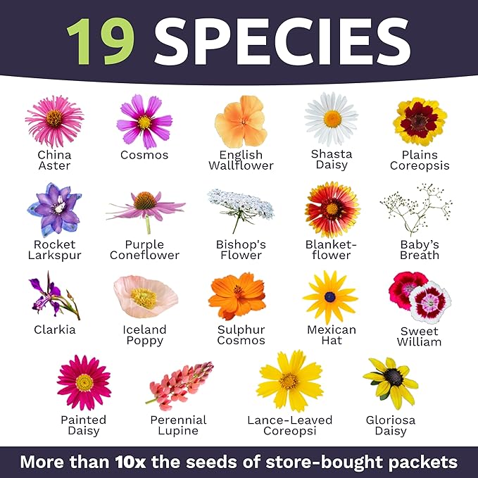 Cut Flower Garden Seeds - Bulk 1/4 Pound Bag - Over 30,000 Fresh Open Pollinated Non-GMO Wildflower Seeds - Long Lasting Annuals and Perennials with Bright Colors