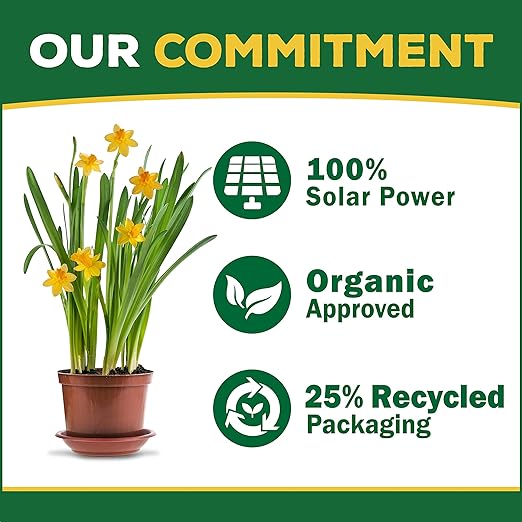 Espoma Organic Cactus! Plant Food, Natural & Organic Fertilizer for All Cactus, Succulents, Palm, and Citrus Both Indoors and Outdoors, 8 oz, Pack of 3