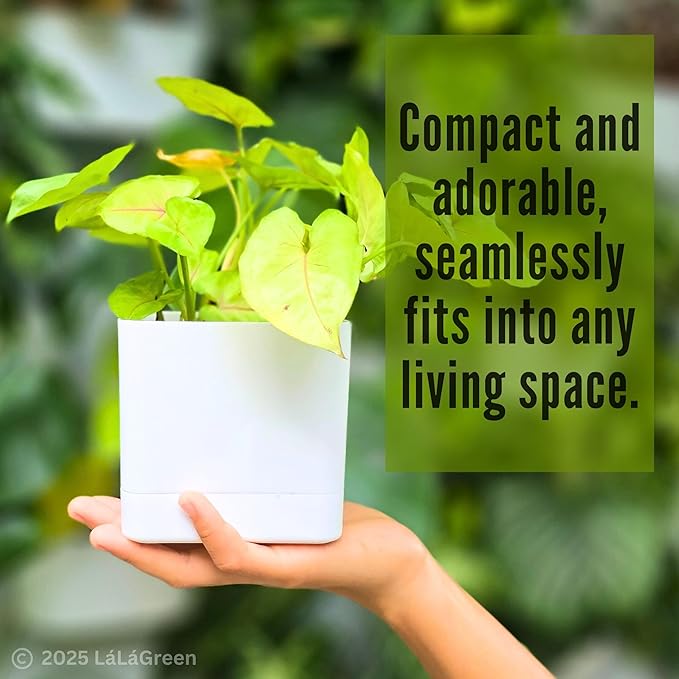 LaLaGreen Planters for Indoor Plants (7 Pack) White Rectangular Self-Watering Window Boxes Planter, Plastic Flower Box Pots Herb Small Long Windowsill Plant with Drainage Patio Garden Home Decor Porch