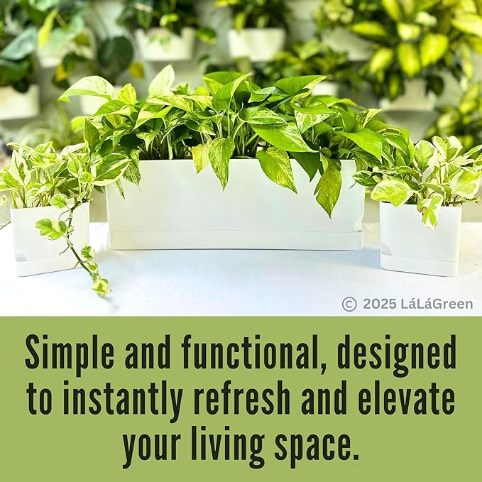 LaLaGreen Planters for Indoor Plants (7 Pack) White Rectangular Self-Watering Window Boxes Planter, Plastic Flower Box Pots Herb Small Long Windowsill Plant with Drainage Patio Garden Home Decor Porch