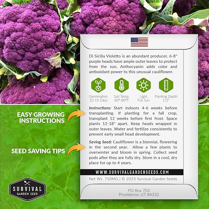Purple Cauliflower Seeds for Planting – Violetto di Sicilia – Heirloom Italian Cauliflower Variety Producing Deep Violet Heads - Non-GMO, Open-Pollinated - Survival Garden Seeds (3 Packs)