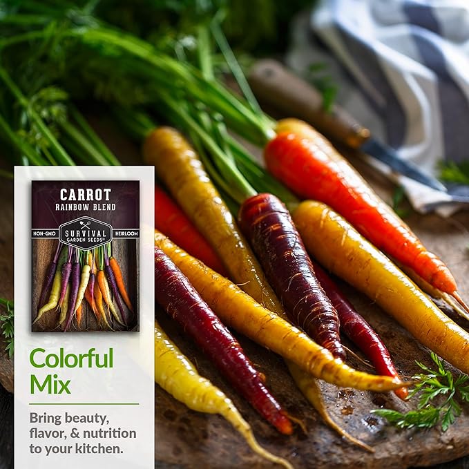 Rainbow Carrot Seeds for Planting – Colorful Heirloom Blend Including Purple, Yellow & Orange Carrots – High-Yield Non-GMO, Open-Pollinated Garden Vegetable – Survival Garden Seeds (1 Pack)