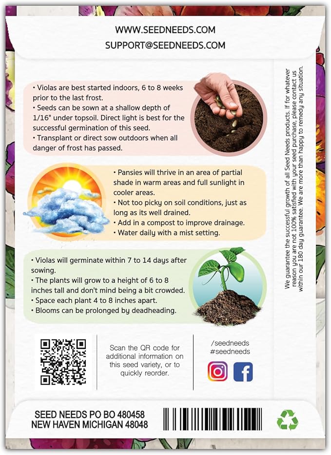 Seed Needs Viola Seeds for Planting Bambini Violas - Heirloom & Open Pollinated Annual Flowers to Plant and Grow an Outdoor Wildflower Butterfly Garden to Attract Pollinators (2 Packs)