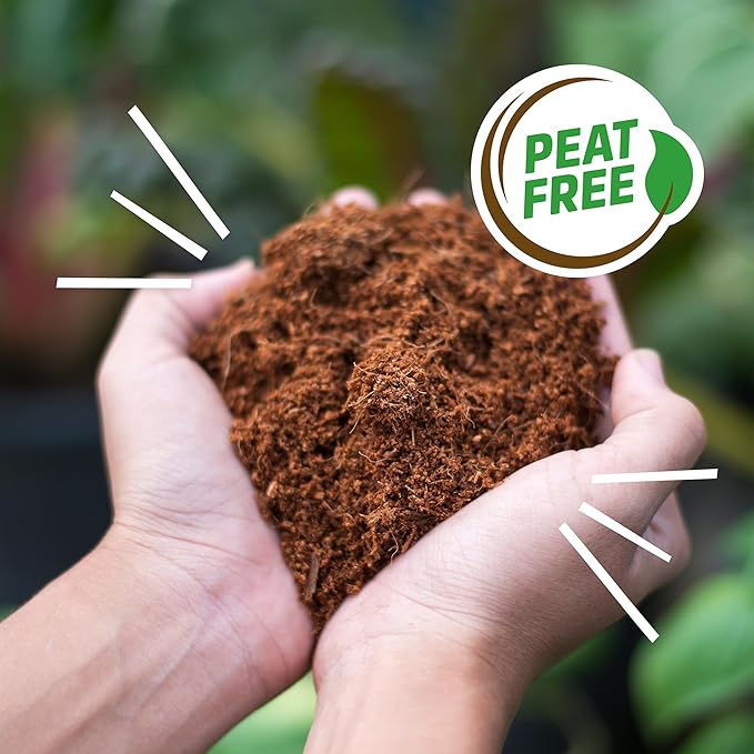 Back to The Roots Organic Coir, 51 Quart Expanding Soil, Great for Seeds and Potting