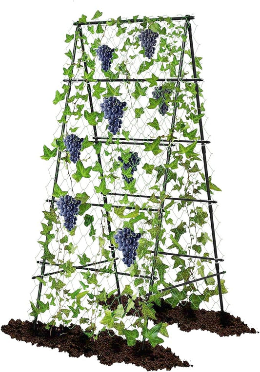 AlisisFores Garden Trellis for Climbing Plants, A-Shape Garden Plant Support Frame for Raised Bed Vegetables, Provides Support for Beans, Tomatoes and Cucumber, Black