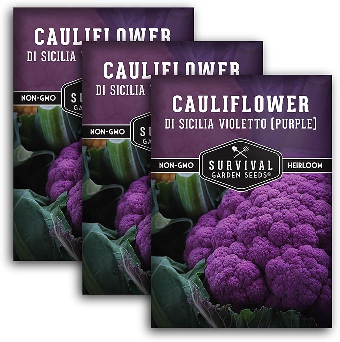 Purple Cauliflower Seeds for Planting – Violetto di Sicilia – Heirloom Italian Cauliflower Variety Producing Deep Violet Heads - Non-GMO, Open-Pollinated - Survival Garden Seeds (3 Packs)