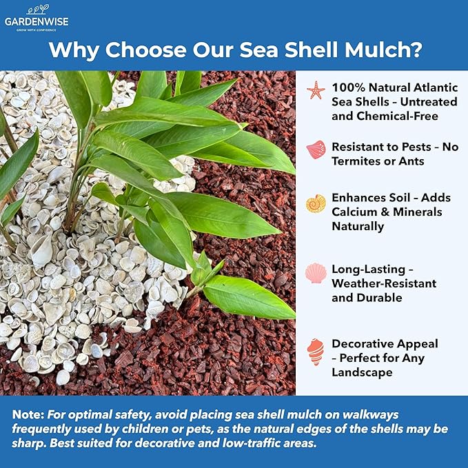 GARDENWISE Natural Organic Sea Shell Mulch for Gardens and Landscaping – Decorative and Nutrient-Rich, 0.5–3-Inch Shells, Perfect for Indoor and Outdoor Use (0.3 CF - 8 L - 9 QTS)