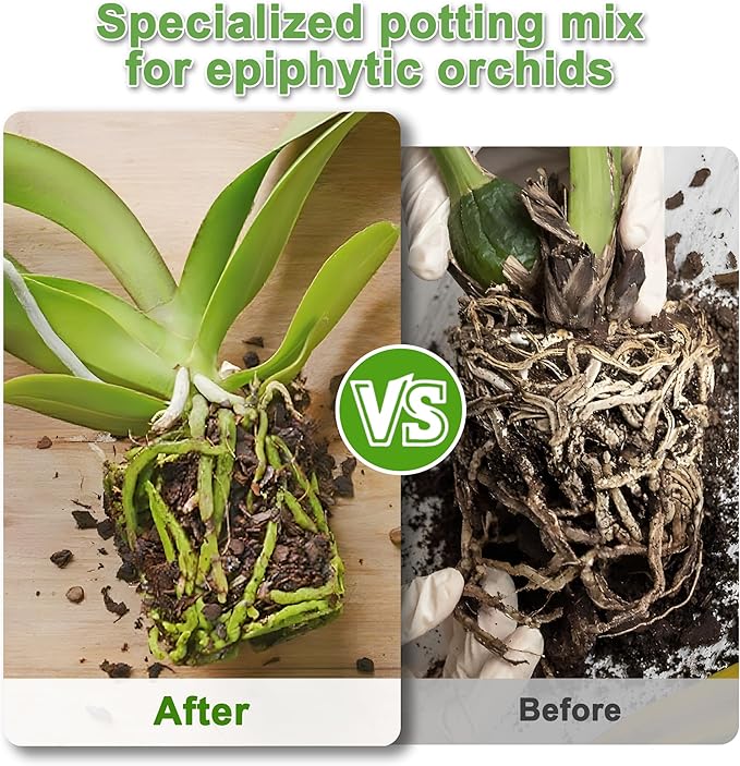 Orchid Bark Potting Mix 29QT - Orchid Soil Mix with Pine Bark, Perlite, Sphagnum Moss & Leca Clay, Fast-Draining Mix for Repotting Phalaenopsis & All Epiphytic Orchids, Indoor Orchid Mulch