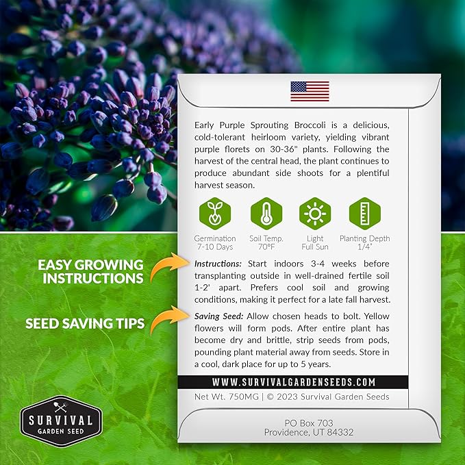 Early Purple Sprouting Broccoli Seeds for Planting – Heirloom Non-GMO Variety with Burgundy-Purple Heads, High Yield Vegetable Garden Favorite – Survival Garden Seeds (1 Pack)