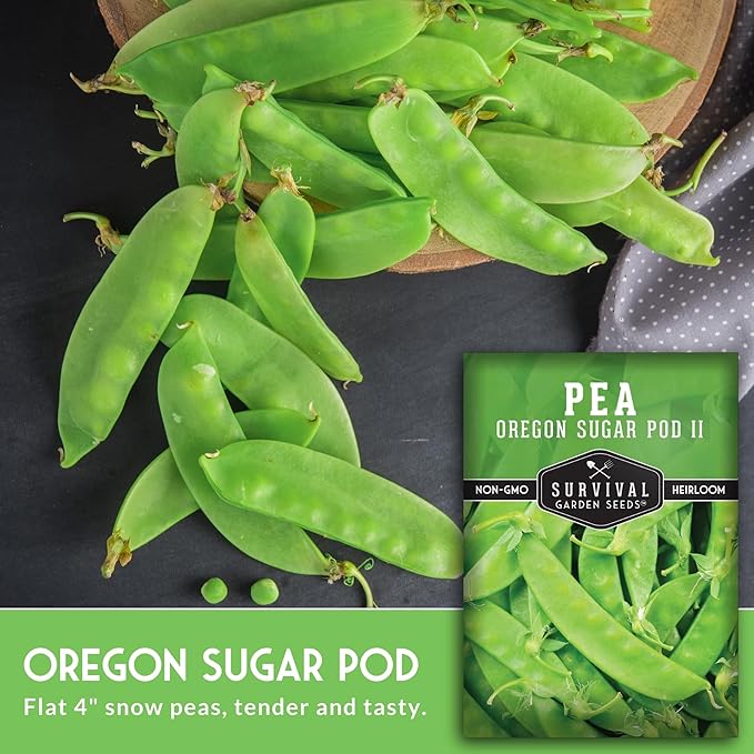 Oregon Sugar Pod II Snow Pea Seeds for Planting - Crisp Edible Pods, High Yield Sugar Snap Style Snow Peas, Heirloom Open Pollinated Non-GMO - Survival Garden Seeds (3 Pack)