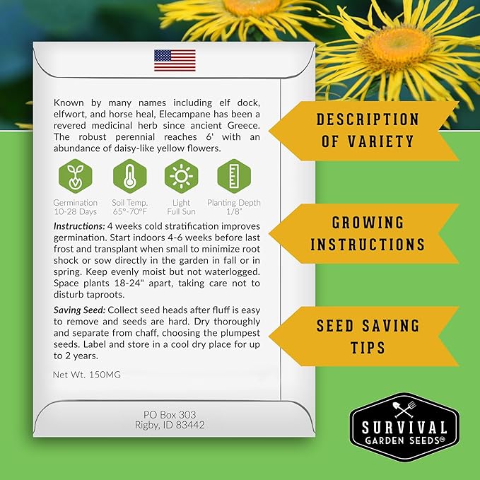 Elecampane Seeds for Planting - Traditional Medicinal Herb (Inula helenium) with Tall Yellow Blooms for Homestead & Healing Gardens - Heirloom Non-GMO - Survival Garden Seeds (2 Packs)