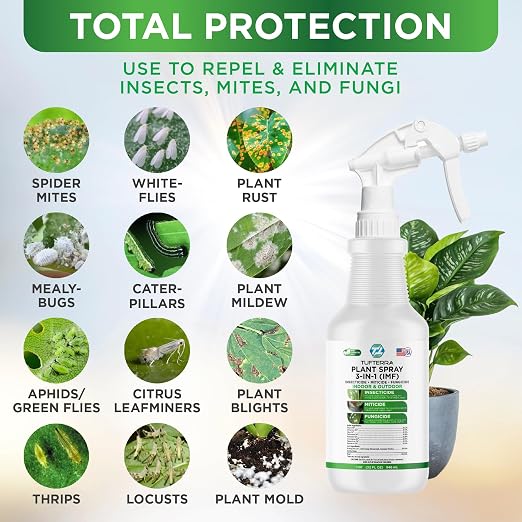 Plant Spray 3-in-1 Insecticide, Miticide, Fungicide | Natural Bug Spray, Indoor & Outdoor Plants | Essential Oils & Castile Soap | Aphids, Mites, Whiteflies, Thrips, Mildew, Mold | 32oz