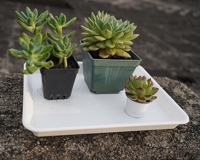 VUWEZ 4 Pack Plant Growing Nursery 1020 Trays, Plant Saucer Tray, Heavy Sturdy Seed Starting Trays, Plant Starter Trays for Indoors No Holes, Seed Starter Growing Tray (22"x11.2", Creamy White)