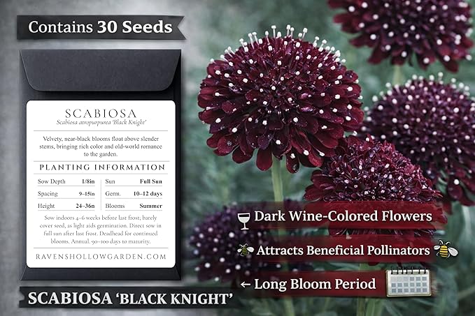 Gothic Garden Seed Collection, 6 Open-Pollinated Flower & Foliage Varieties