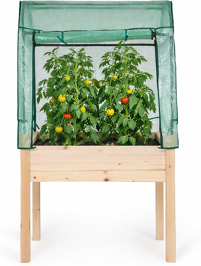 Backyard Expressions 36"x24" Elevated Garden Bed with Greenhouse Cover – Raised Wooden Planter Box with Legs, Mini Outdoor Greenhouse, 66" Tall