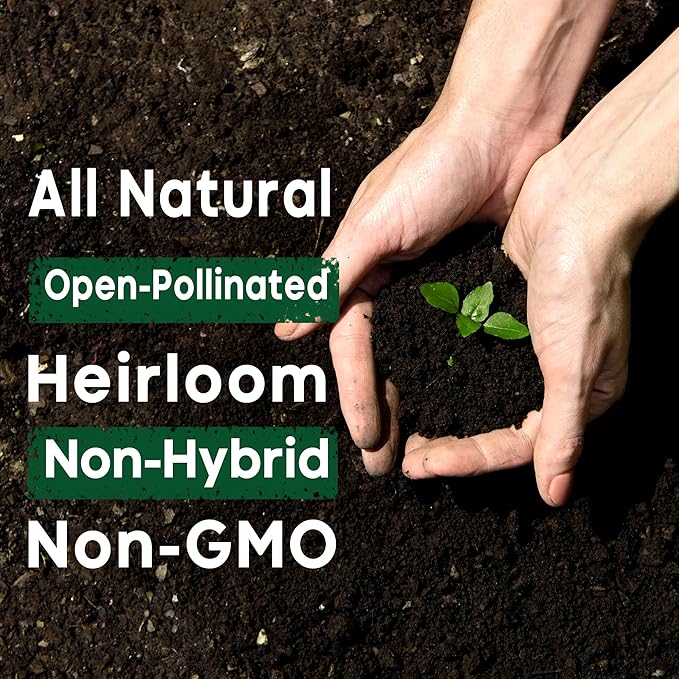 12,500+ Vegetable Fruit Seeds for a Bountiful Garden: 40 Heirloom Varieties, Non-GMO, Indoors, Outdoors, or Hydroponically, Mega Vegetable Seed Kit