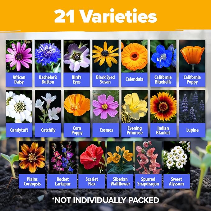 HOME GROWN Wildflower Seeds Mix - 49,100+ (2oz) Bulk Mix, 21 Varieties Wild Flower - Bee and Butterfly Garden Pack - Native Annual Flowers for Planting for Your Garden