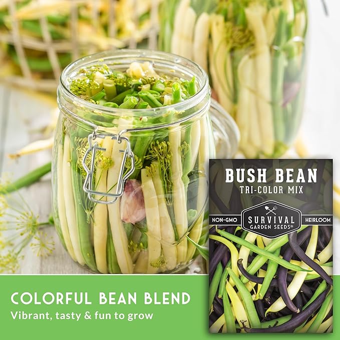 Tri Color Blend Bush Bean Seeds for Planting - Mix of Green, Yellow Wax, & Purple Beans with Stringless Pods - 3 Non-GMO Heirloom High Yield Varieties - Survival Garden Seeds (5 Packs)