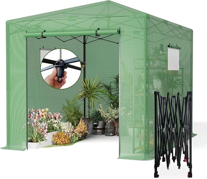 8X12 FT Pop Up Greenhouse,Greenhouse for Outdoors, Portable Walk-in Greenhouses with Roll-Up Zipper Door, PE Cover Greenhouses for Garden and Backyard, Easy Setup