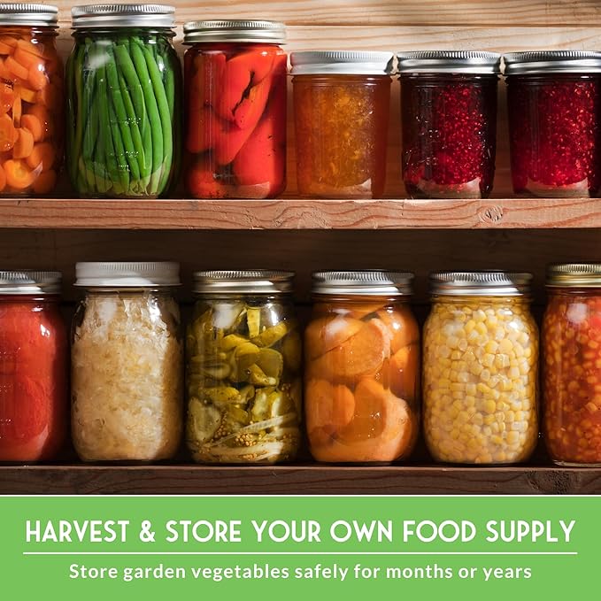 Home Garden Vegetable Seeds 30 Variety Pack – Heirloom Seed Vault Kit for Planting Non-GMO Vegetables, Herbs, Fruit – Emergency Preparedness Survival Food Grow Kit – Survival Garden Seeds (18,500+)