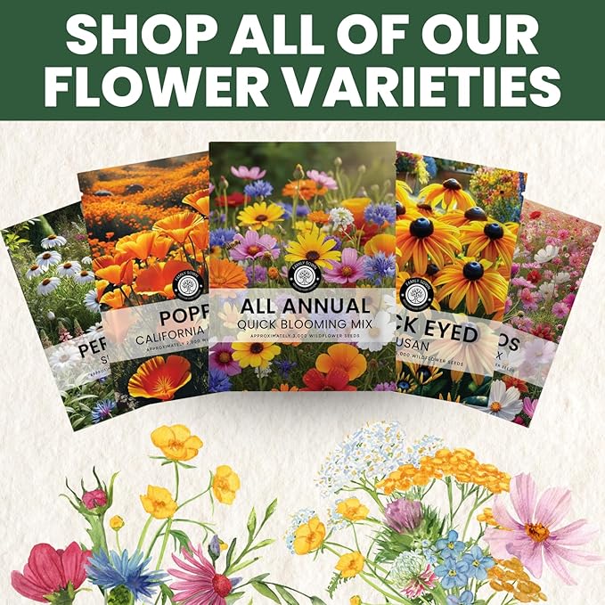 All Annual Quick Blooming Mix - 16,000 Flower Seeds for Planting - Wildflower Mix - Large 1 Ounce Packet