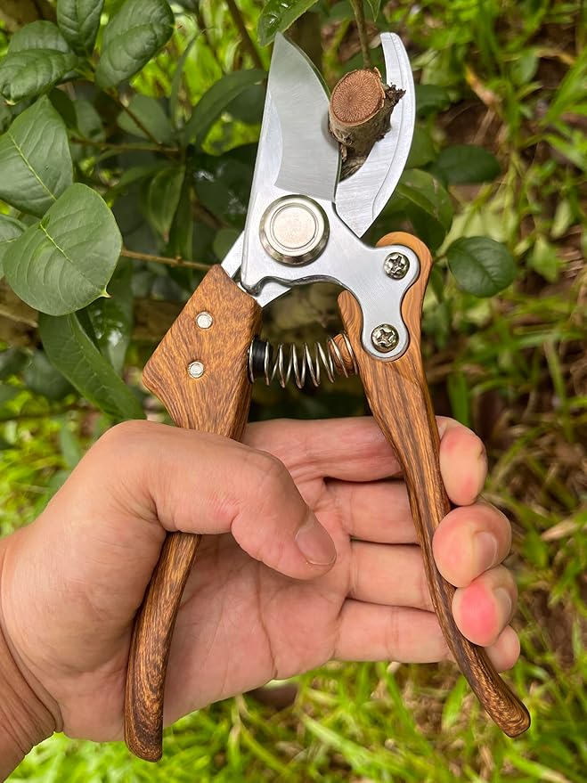 Garden Pruning Shears, Floral wire cutter, German Stainless Steel Blades, 1 inch Cut Capacity, Garden Snips for flowers with Non-Slip Handle, Lightweight & Ergonomic Professional