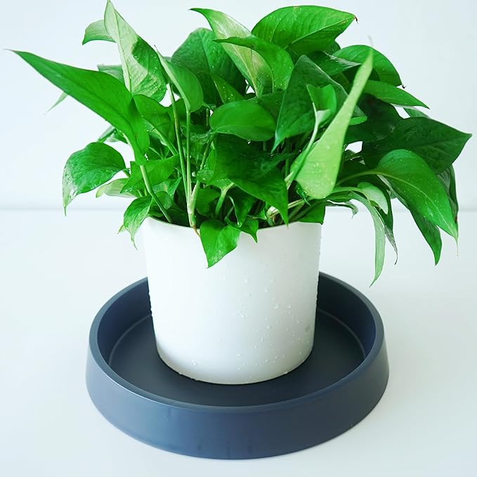 Plant Saucer Tray for Ceramic Plastic Pots, 10 inch Plant Saucers for Indoors, Pot Saucers Trays, Bird Bath Bowls, Flower Planter Water Drip Trays for Pots Base (10", Blue)