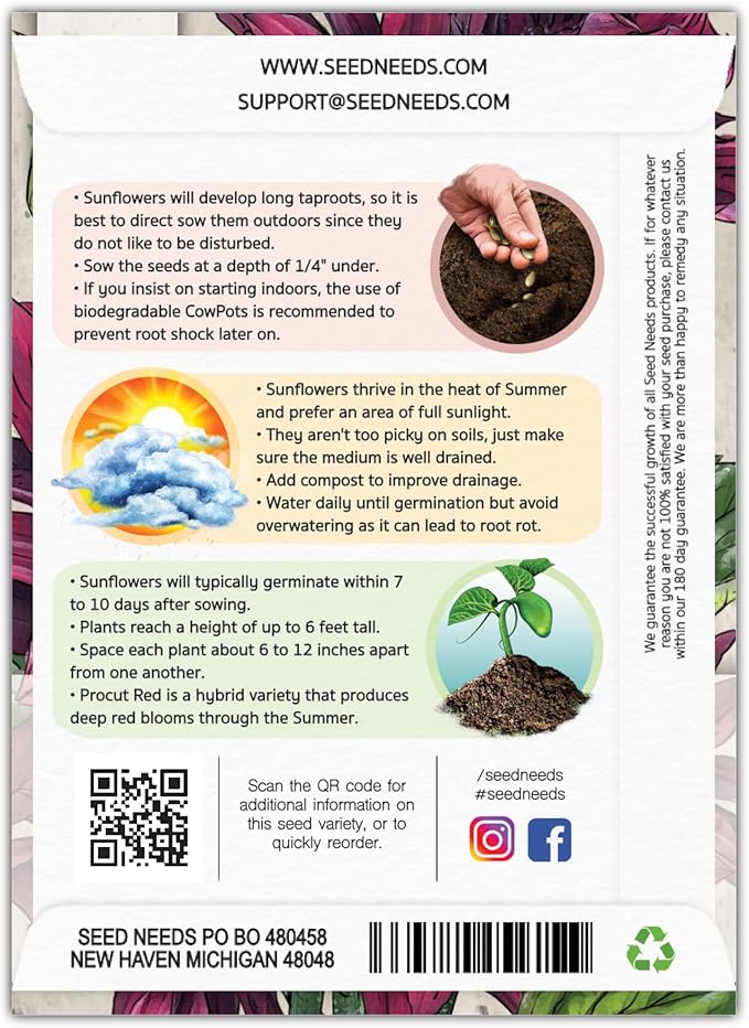 Seed Needs Procut Red Sunflower Seeds for Planting Burgundy Sunflowers - F1 Hybrid Flowers Great for Cutting in Bouquets & Floral Arrangements (1 Pack)