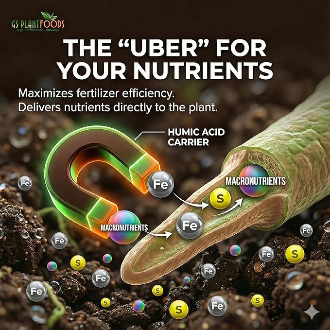 GS Plant Foods Humic Acid Soil Amendment – Leonardite-Derived Liquid Concentrate for Improved Soil Structure & Nutrient Availability – OMRI Listed for Organic Use – 5 Gallons (2 x 2.5 gl containers)