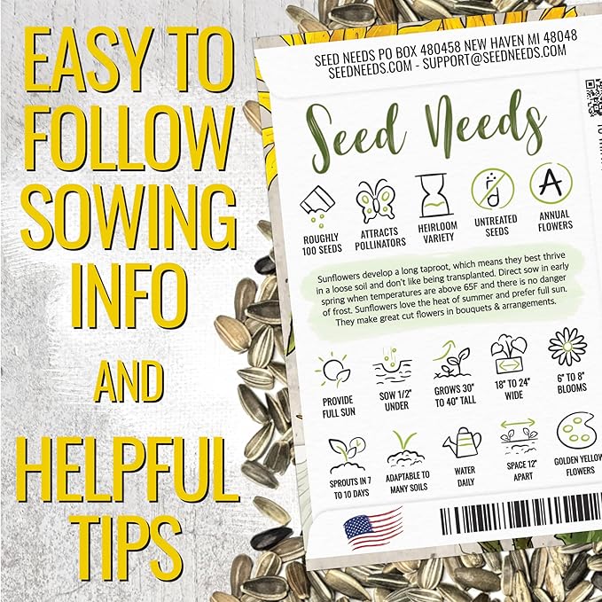 Seed Needs Dwarf Sunflower Seeds for Planting Incredible Sunflowers - Heirloom & Open Pollinated Flowers to Plant an Outdoor Wildflower Garden to Attract Beneficial Pollinators (2 Packs)