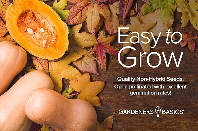 Gardeners Basics, Butternut Squash Seeds for Planting - Waltham Heirloom Non-GMO Winter Storage Vegetable Plant for Home Garden Vegetables Makes a Great Gift for Gardening